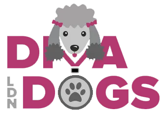 Diva Dogs Plinko London Logo